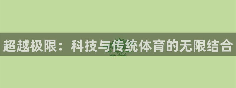 猎豹体育官方网站入口