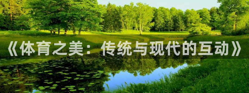 猎豹体育可以登录吗安全吗：《体育之美：传统与现代的互动》