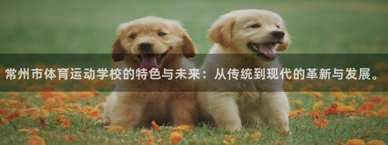 猎豹体育app下载安装：常州市体育运动学校的特色与未来：从传统到现代的革新与发展。