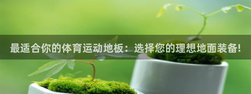 猎豹体育姜鑫