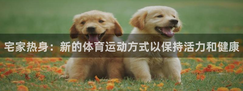 猎豹体育的英文