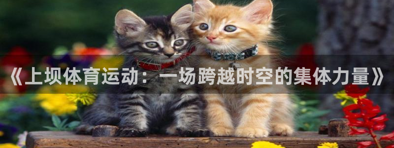 猎豹体育文化：《上坝体育运动：一场跨越时空的集体力量》