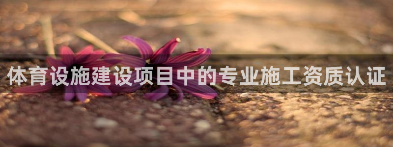 猎豹体育文化传播有限公司