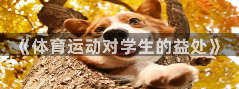 猎豹体育俱乐部