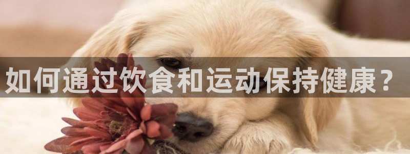 猎豹体育赛事直播