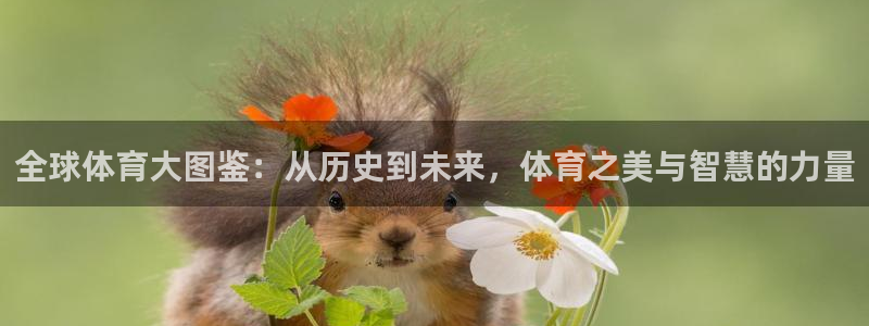 猎豹体育官方网站入口