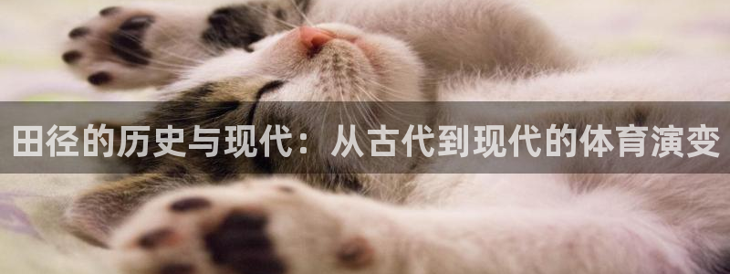 猎豹体育app官方下载