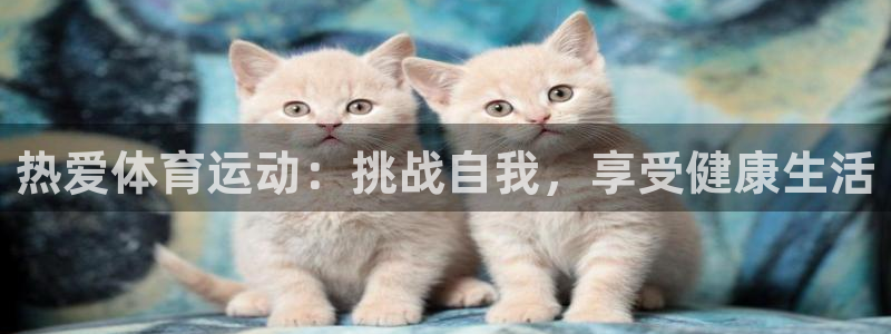 猎豹体育可以登录吗安全吗