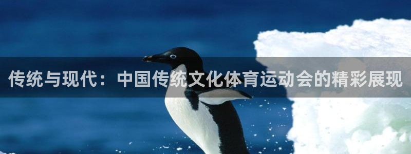 猎豹体育直播在线观看(无插件)