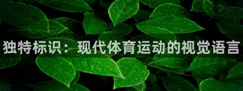 猎豹体育app官方入口