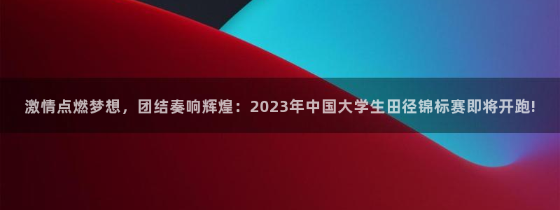 猎豹体育文化传播有限公司