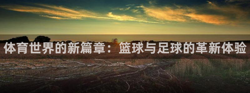 猎豹体育：体育世界的新篇章：篮球与足球的革新体验