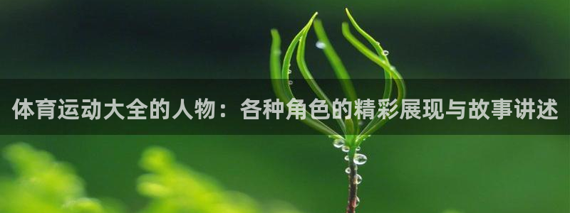 猎豹体育可以登录吗安全吗：体育运动大全的人物：各种角色的精彩展现与故事讲述